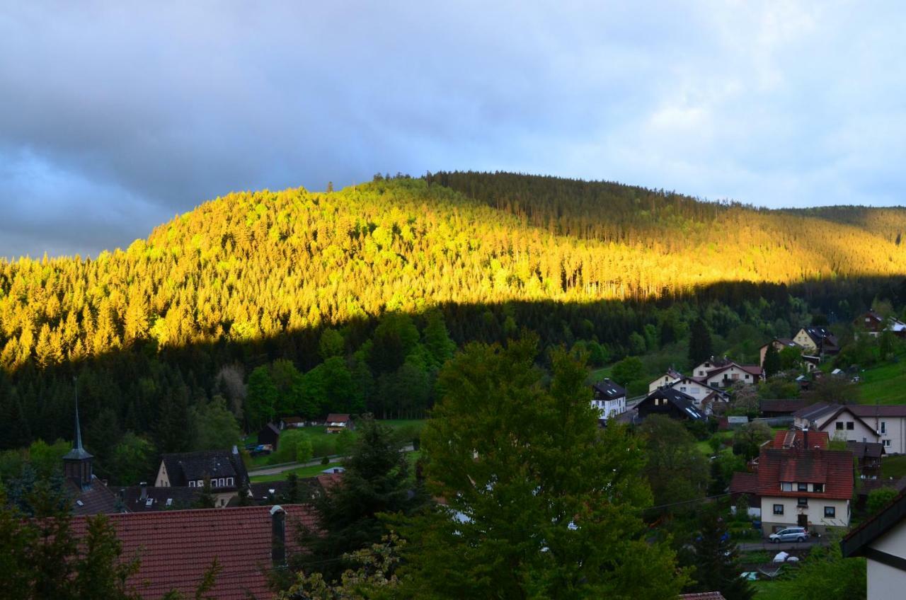 Ferienwohnung Am Kurpark Bad Wildbad Exteriör bild