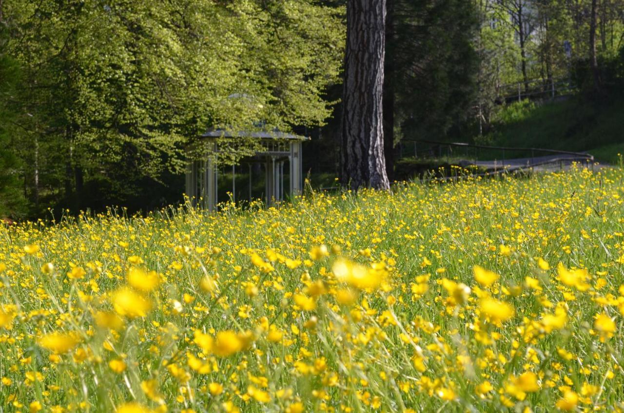 Ferienwohnung Am Kurpark Bad Wildbad Exteriör bild